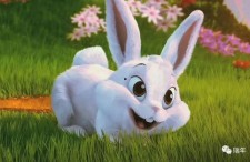 娱乐圈吃瓜第一线十尾兔,十尾兔带你探秘吃瓜第一线